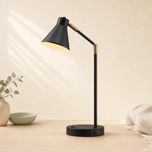 LED Desk Lamp